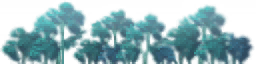 wso0004_ef_17