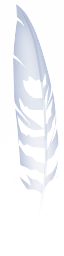 ev61101200_13