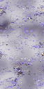 ev61101300_17