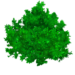 whd0046_ef1_02