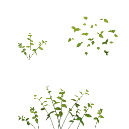 gr010_01_a.1