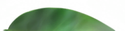 whd0031_ef_26