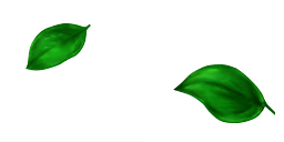 whd0053_ef_04