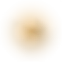 whd0065_ef_12