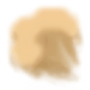 wsd0004_ef_11