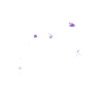 ev62100500_33