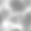 ev62100800_ef_26