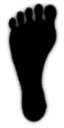 ev62100900_30