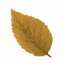 w103170_ef_13