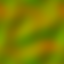 103190_ef_19