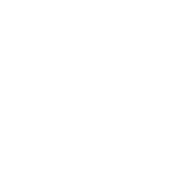 aur_c_17