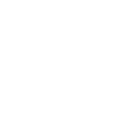 aur_c_19