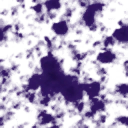 whk0009_ef_15