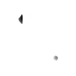whk0011_ef_11