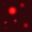 wkk0005_ef_13