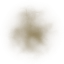 ev63012100_14
