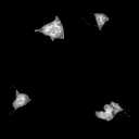 ev63012100_16