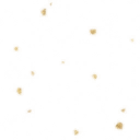 whk0050_ef_25