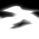 whk0060_ef_26