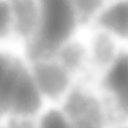 ev63016500_10