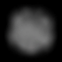 ev63100500_ef_22