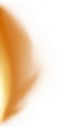 ev63100900_ef_28