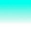 ev84000200_02