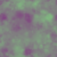 ef_ev_s01160_11