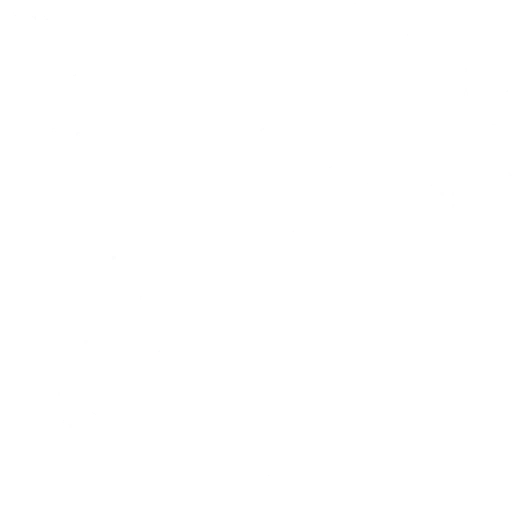 ao113_01.2