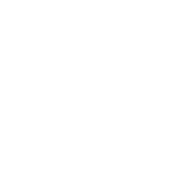 ao305_02.2