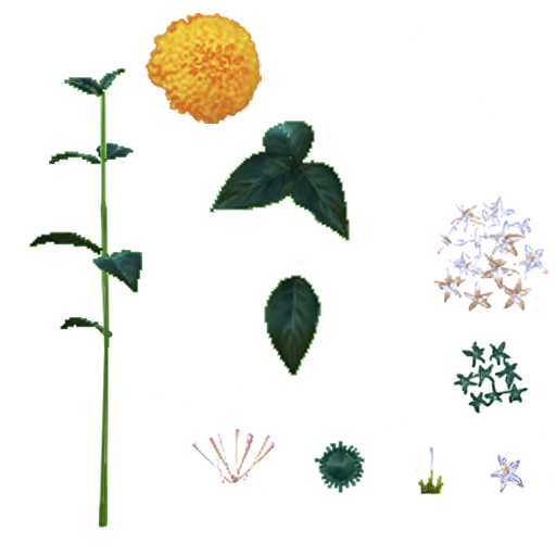 gi101_01_a.1