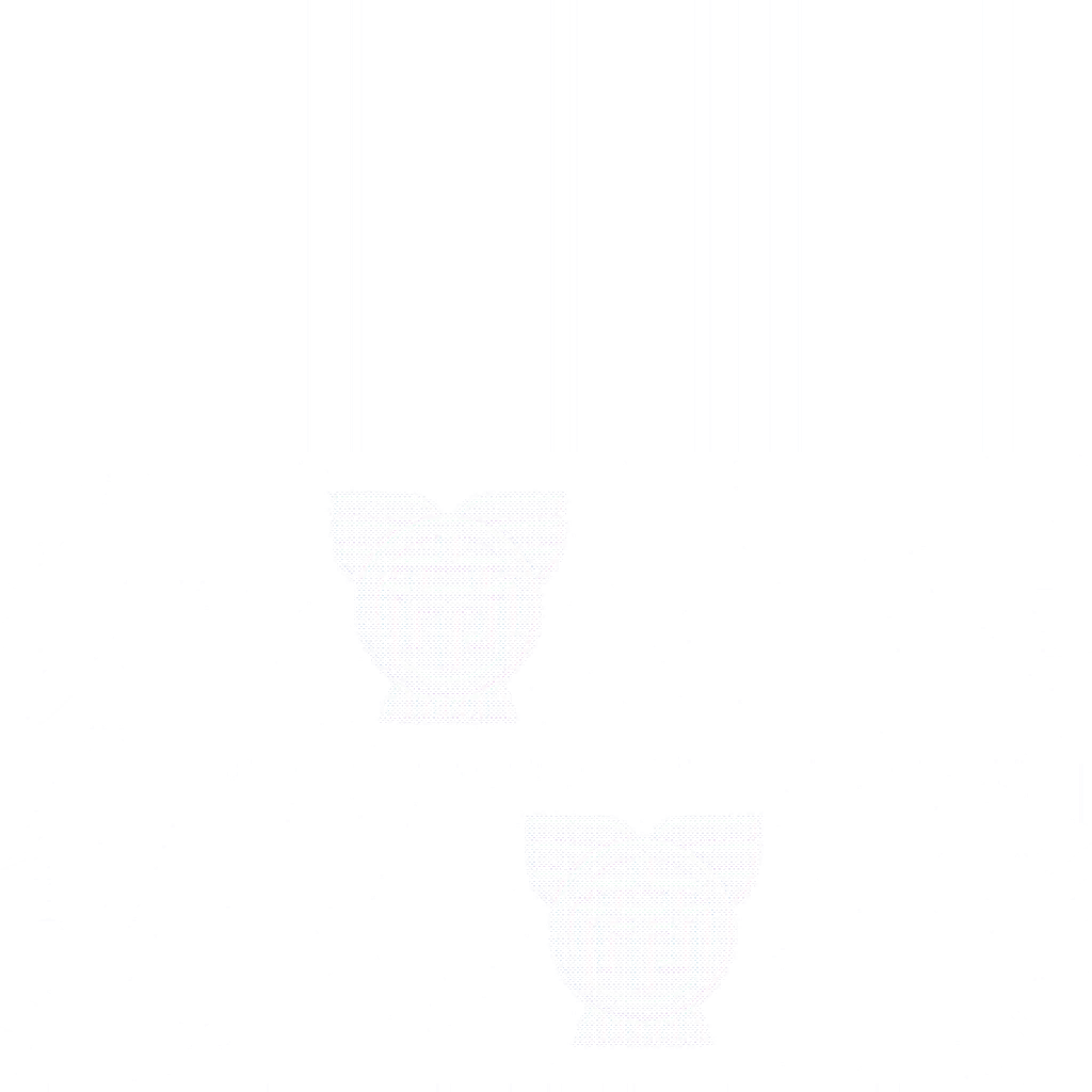 gi801_flag01.2