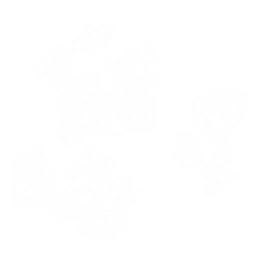 gr006_01_a.1