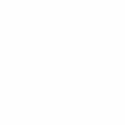 gr007_01_a.1