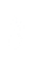 gr062_a.1