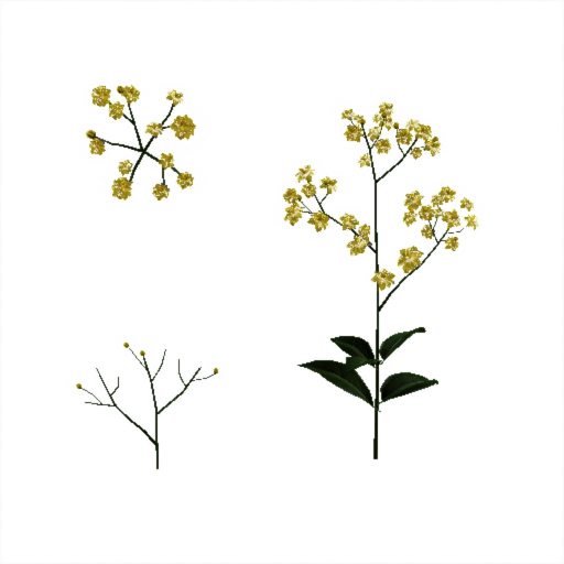 gr077_01_a.1