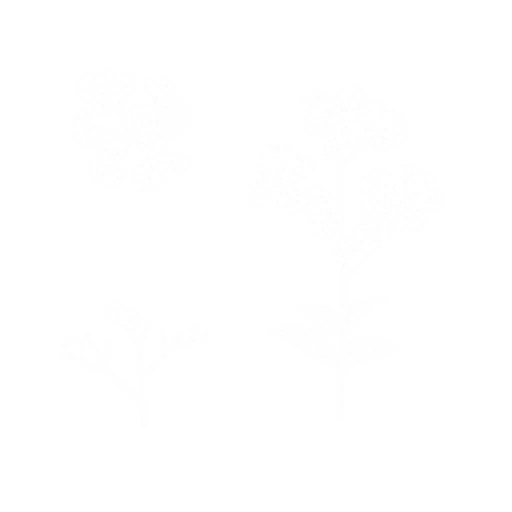 gr079_01_a.1