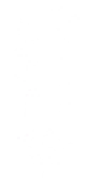 pl002_banyan01_a.2