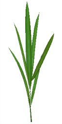 pl005_01_a.1