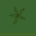 pl006_01_a.1