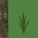 pl012_01_a.1