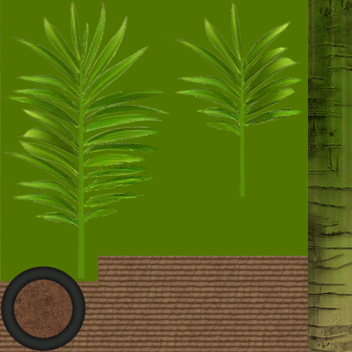 pl101_palm01_a.1