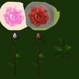 pl294_01_a.1