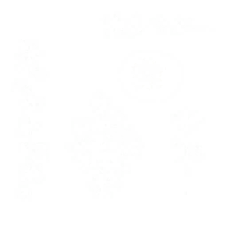 pl296_01_a.1
