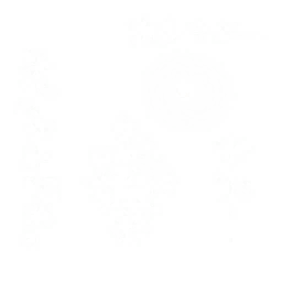 pl297_01_a.1