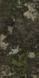 tr001_02.1