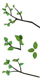 tr003_01_a.1
