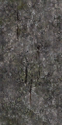 tr004_02.1