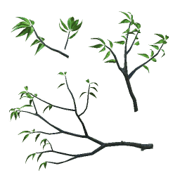 tr005_01_a.1