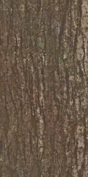tr006_03.1